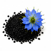 BLACK SEED