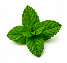 PEPPERMINT